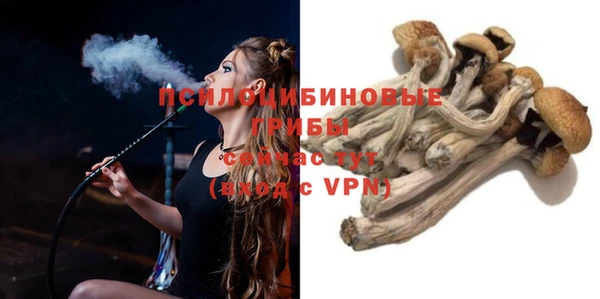 прущие крисы Алзамай