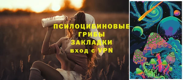 СК Алексеевка